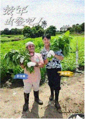 今晚去哪里 旅行慢综艺在线观看
